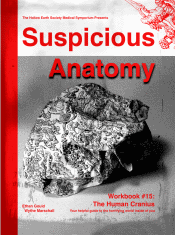 Suspicious Anatomy